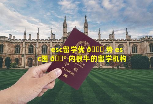 esc留学优 🐋 势 esc国 💮 内很牛的留学机构